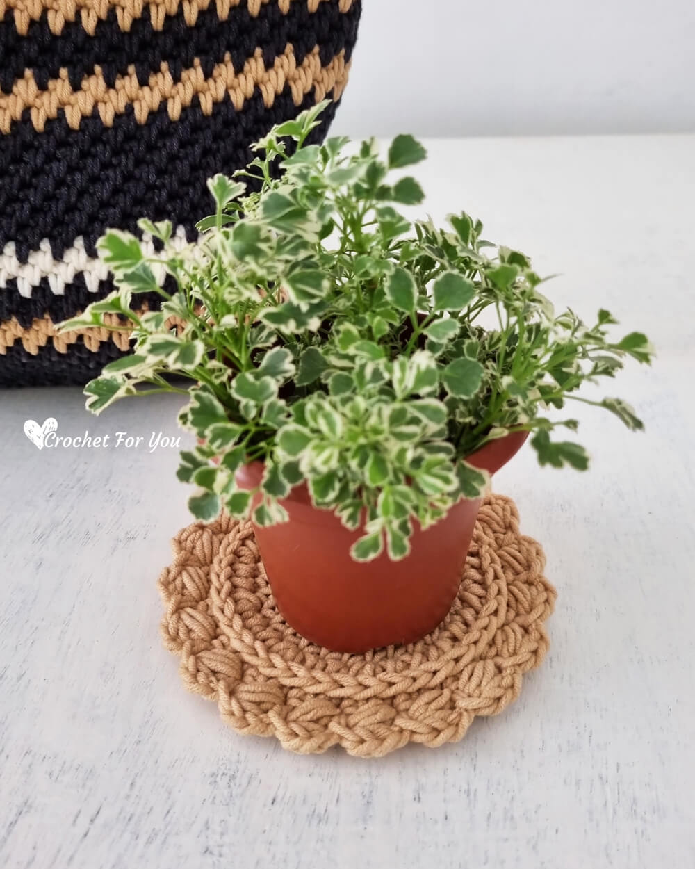 Crochet coaster used underneath a small plant pot